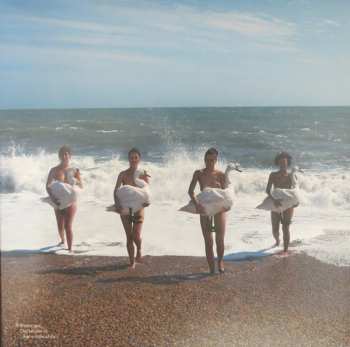 LP The Chakras: Build Me A Swan