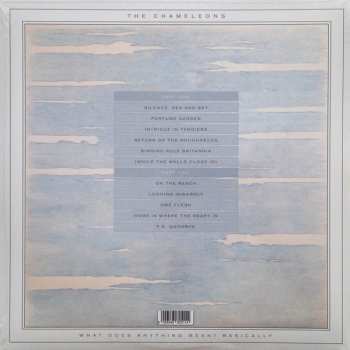 LP The Chameleons: What Does Anything Mean? Basically LTD | CLR