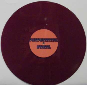 2LP/SP The Chris Robinson Brotherhood: Phosphorescent Harvest CLR