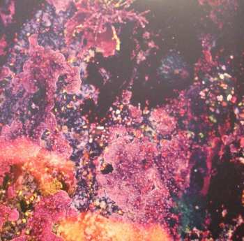 2LP/SP The Chris Robinson Brotherhood: Phosphorescent Harvest CLR
