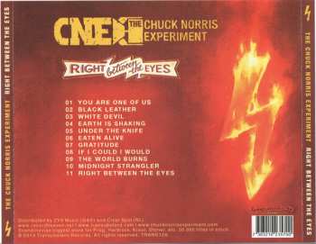 CD The Chuck Norris Experiment: Right Between The Eyes