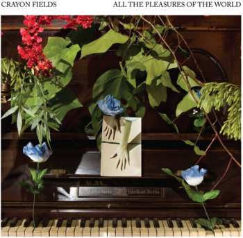 CD The Crayon Fields: All The Pleasures Of The World