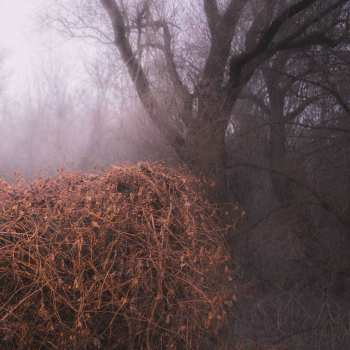 Album The Devil's Trade: Nincs szennyezetlen szép