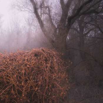 LP The Devil's Trade: Nincs Szennyezetlen Szép CLR | LTD