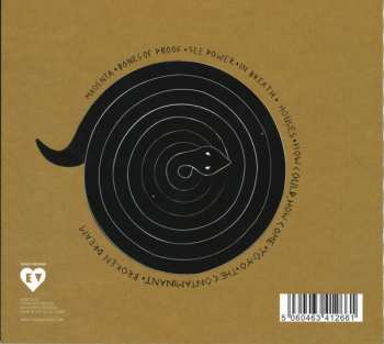 CD The Duke Spirit: Sky Is Mine