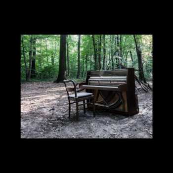 CD The Eye Of Time: Acoustic II