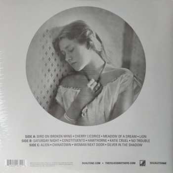 2LP The Felice Brothers: Favorite Waitress