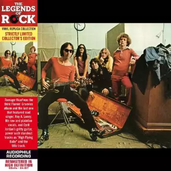 The Flamin' Groovies: Teenage Head