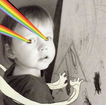 CD The Flaming Lips: The Dark Side Of The Moon