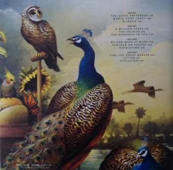 3LP/2CD/Box Set The Flower Kings: By Royal Decree LTD