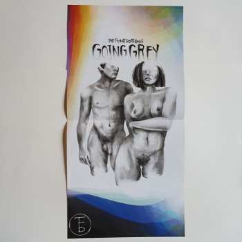 LP The Front Bottoms: Going Grey