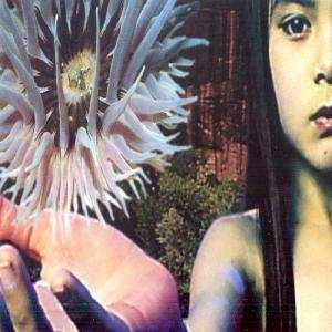 Album The Future Sound Of London: Lifeforms