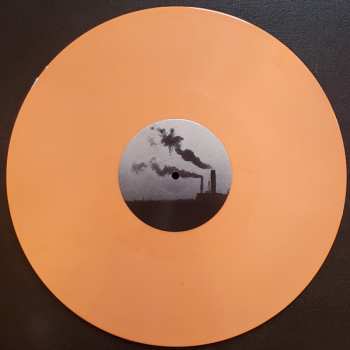 LP The Goodboy Suit: Within Walls Without Windows CLR | LTD