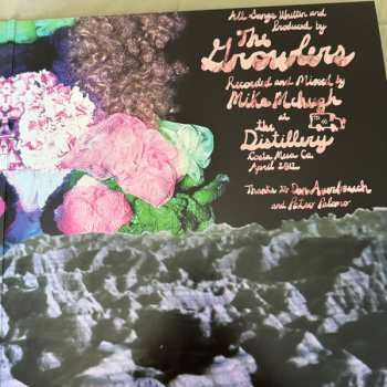 2LP The Growlers: Hung at Heart CLR | DLX