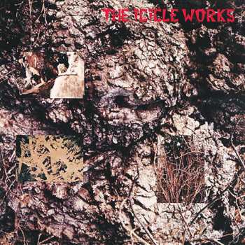 5CD/Box Set The Icicle Works: 5 Albums