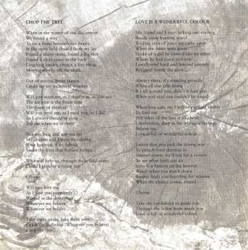 2CD The Icicle Works: The Icicle Works