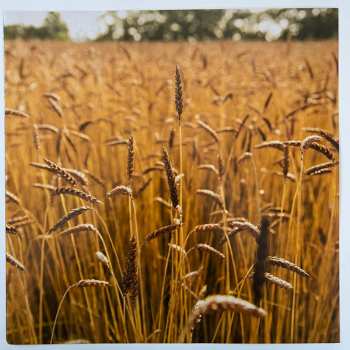 LP The Inspector Cluzo: Horizon LTD