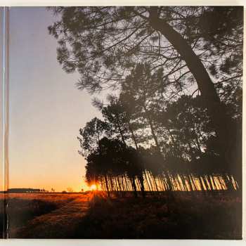 LP The Inspector Cluzo: Horizon LTD