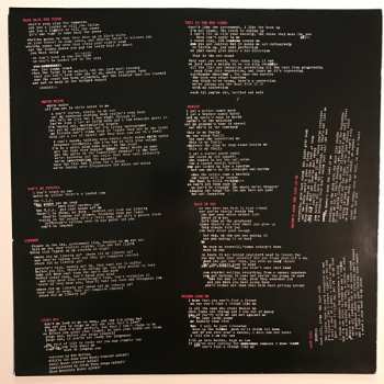 LP The Interrupters: The Interrupters