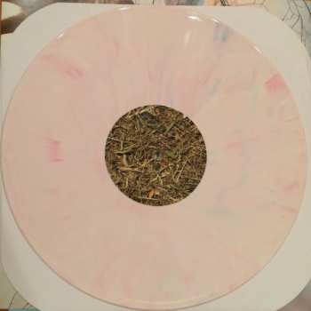 LP The Jealous Sound: A Gentle Reminder CLR