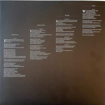 2LP/SP The Lemon Twigs: Go To School LTD | DLX