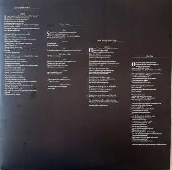 2LP/SP The Lemon Twigs: Go To School LTD | DLX