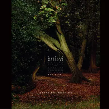 The Matthew Herbert Big Band: The State Between Us