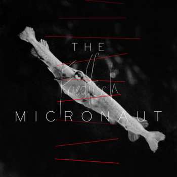 Album The Micronaut: Friedfisch