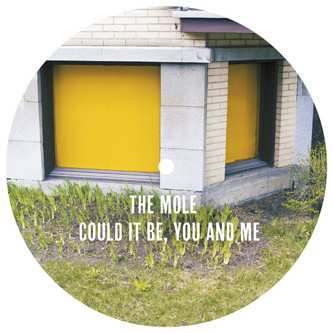 Album The Mole: Could It Be, You And Me