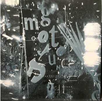 LP The Mountain Goats: Tallahassee