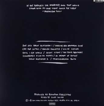 LP The Mountain Goats: Transcendental Youth