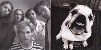 CD The Neighbourhood: Wiped Out!