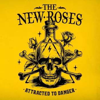 Attacked To Danger