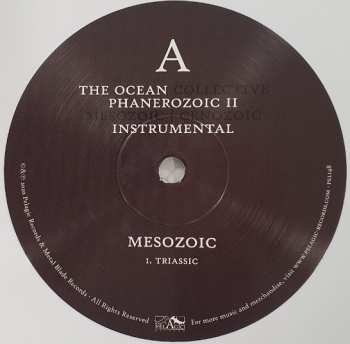 2LP The Ocean: Phanerozoic II: Mesozoic | Cenozoic (Instrumental) CLR