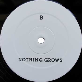 LP The Ocean Party: Nothing Grows