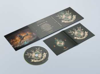 Album The O'Reillys & The Paddyhats: Coming Home