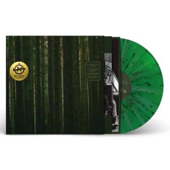 Album The Paper Kites: Evergreen