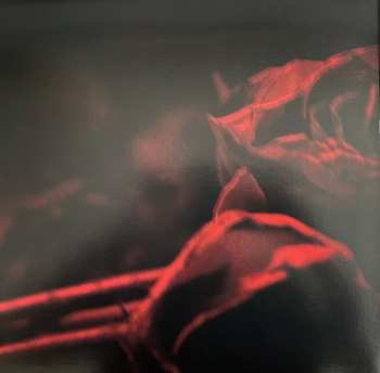 LP The Paper Kites: Roses LTD | CLR