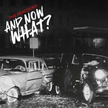 CD The Peacocks: And Now What?(digisleeve)