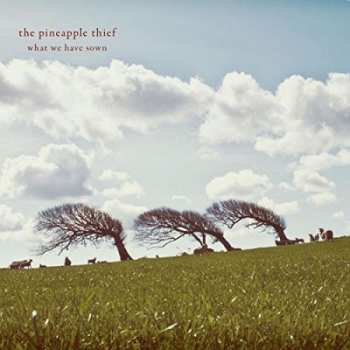 CD The Pineapple Thief: What We Have Sown