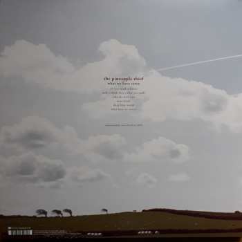 2LP The Pineapple Thief: What We Have Sown