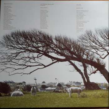 2LP The Pineapple Thief: What We Have Sown