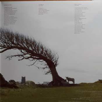 2LP The Pineapple Thief: What We Have Sown