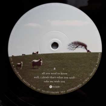 2LP The Pineapple Thief: What We Have Sown