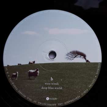 2LP The Pineapple Thief: What We Have Sown