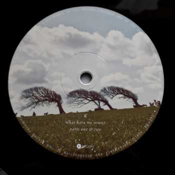 2LP The Pineapple Thief: What We Have Sown