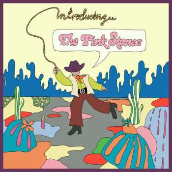 CD The Pink Stones: Introducing...The Pink Stones