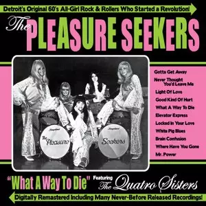 The Pleasure Seekers: What A Way To Die