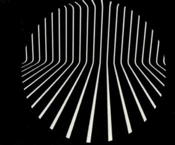 3CD The Pop Group: Y