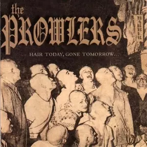 Hair Today, Gone Tomorrow...